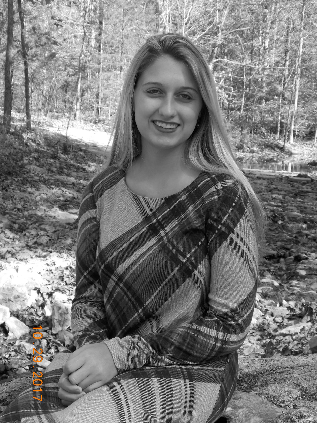 Vienna - Lily Greer